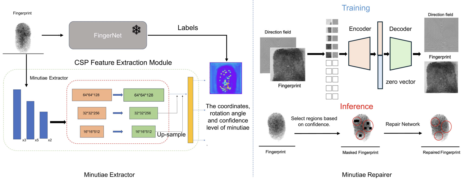 Automated Framework for Extracting and Restoring Minutiae From Low-Quality Fingerprints